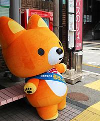 きゅんた