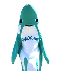 シャチコフ