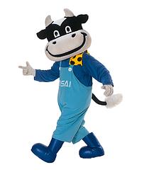 ノーサイくん