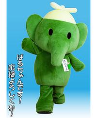 ばるちゃん