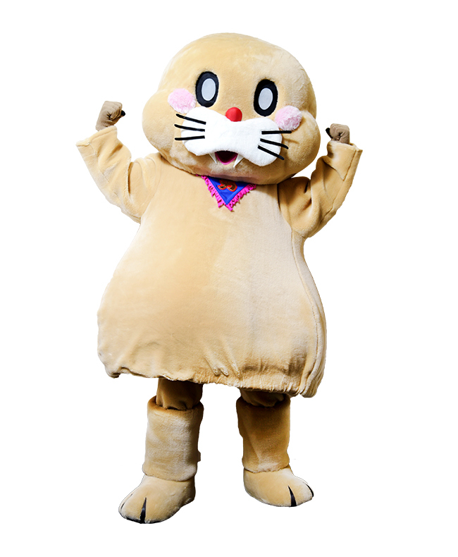 ポコたん