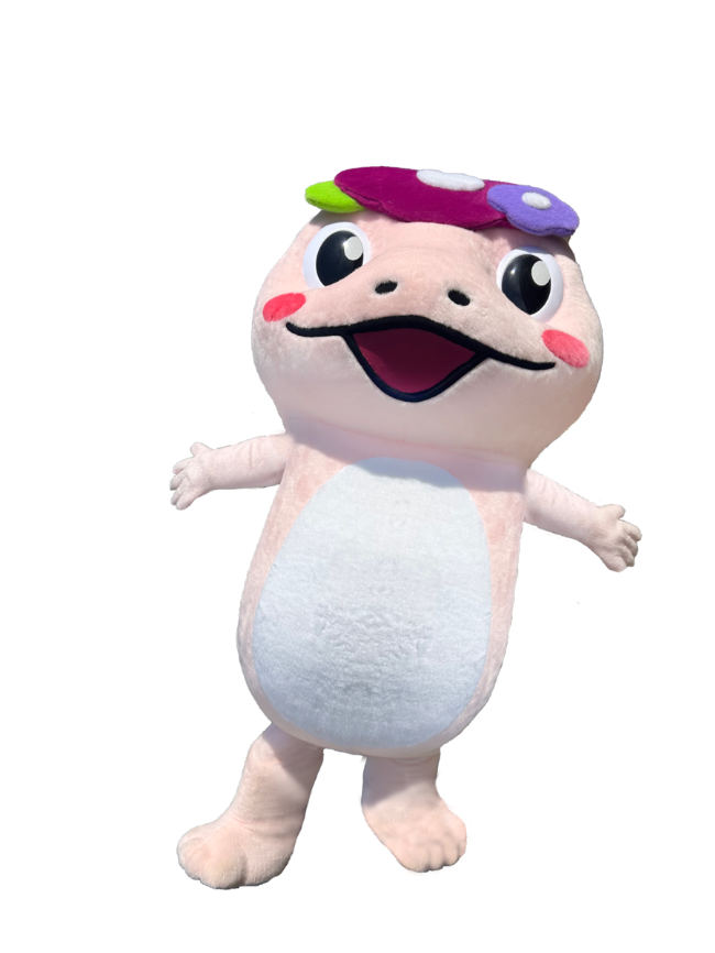 りょっち