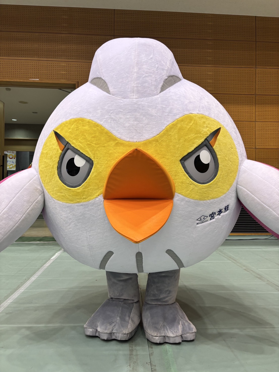 ヴィックの詳細情報 | ゆるナビ