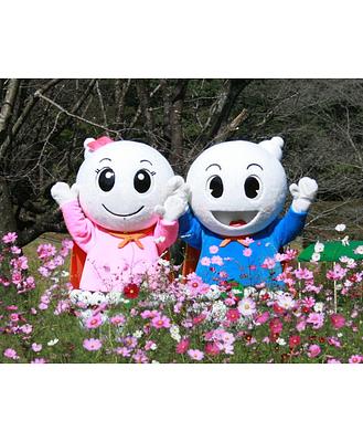 しらたマン/しらたまちゃんの画像