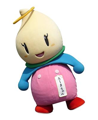 う~まちゃんの画像