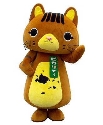 ピカリャ~の画像