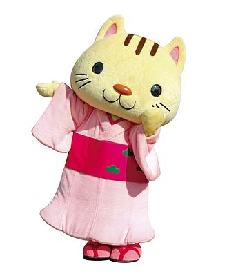 こにゃんの画像