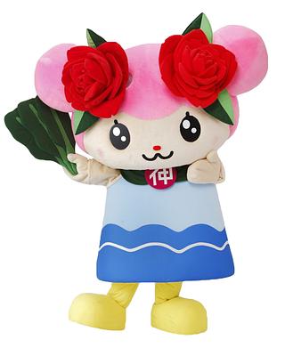 ばら菜の画像