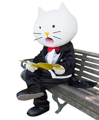 にゃんばら先生の画像