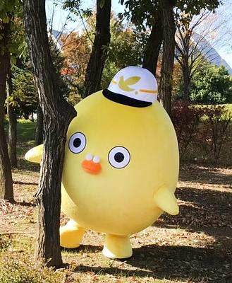 ふじもっちの画像