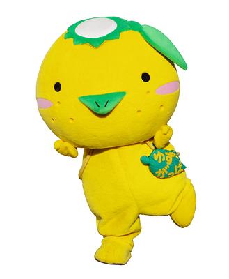 ゆずがっぱの画像