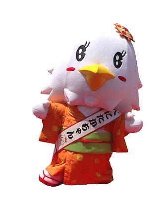 べにたかちゃんの画像