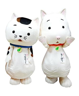 き~ぼう・つむぎちゃんの画像