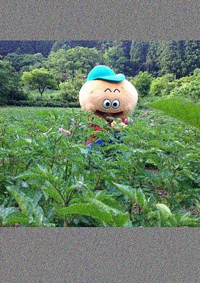 ひのじゃがくんの画像