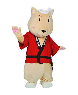 ナムキャラ応援団 徳島県担当団員 あわんこの画像