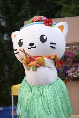 しむかっぴーの画像