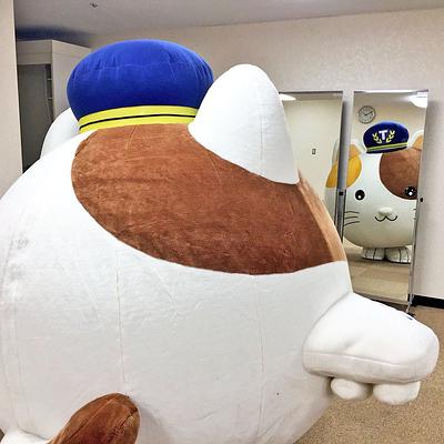またたびくんの画像
