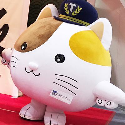 またたびくんの画像