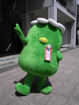 さがっぱ・ジョーの画像