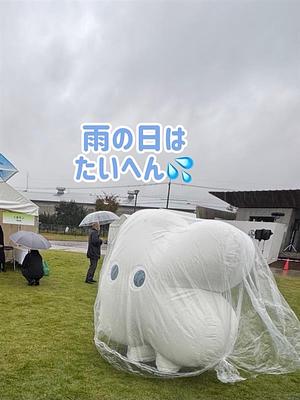 くもびぃの画像