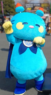 ミロにゃんの画像