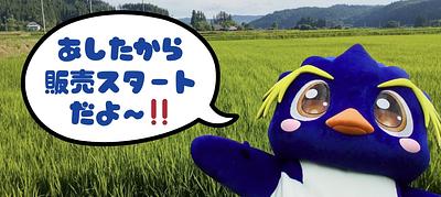 そんちょさんの詳細情報 | ゆるナビ
