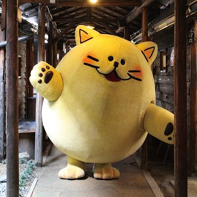 のらちゃんの画像