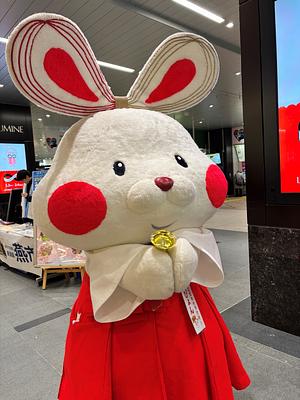ミコぴょんの画像