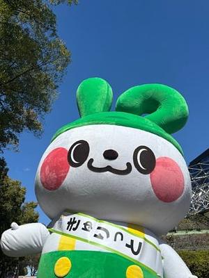 きゅりっとの画像