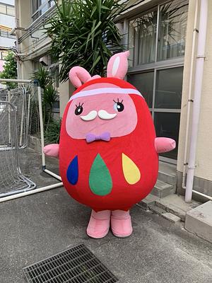 モコルマの画像