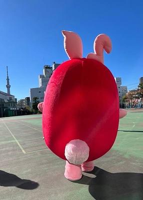 モコルマの画像